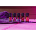 Harvia healing with heat pirts aromātu komplekts Harvia healing with heat pirts aromātu komplekts