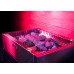  Qube 15 kw